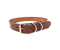 Collar De Cuero Autentico Para Perros Mascotas - Talla M