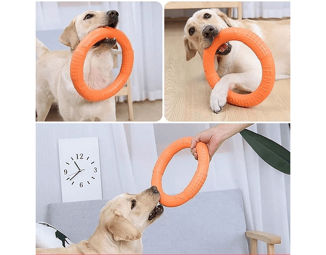 Frisbee Grande Para Perros Juguete De Alta Resistencia Xl