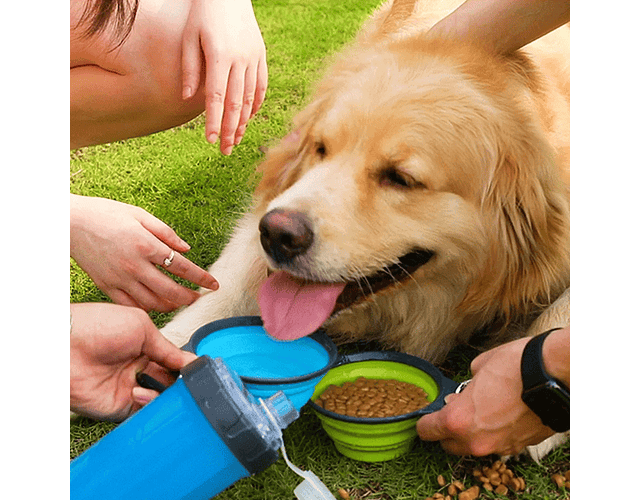 Botella Para Agua Y Alimento + Plato Plegable Paseo Mascotas