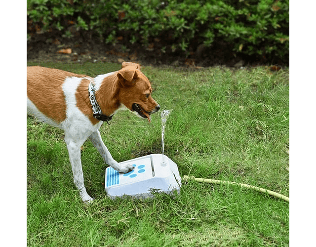 Juego De Agua Pulverizador Para Perros Bebedero Aire Libre
