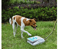 Juego De Agua Pulverizador Para Perros Bebedero Aire Libre