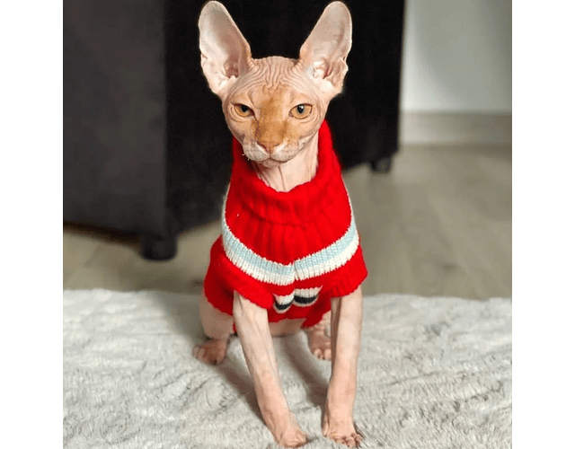 Suéter Ropa Para Mascotas Capa Chalecos Tejidos Perros Gatos