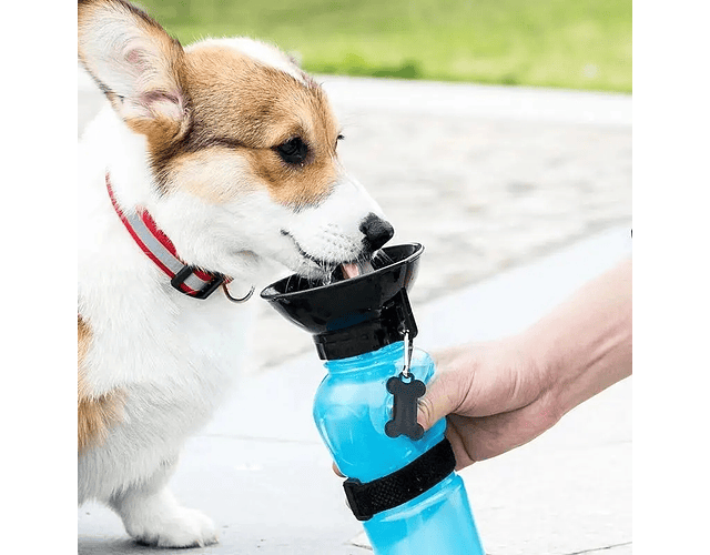 Botella Termo Perro Aqua Dog Hidratación Portátil Mascotas