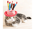 Gorro Fiesta Cumpleaños Mascotas Disfraz Perros Y Gatos - Cs