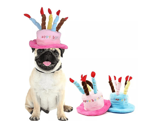 Gorro Fiesta Cumpleaños Mascotas Disfraz Perros Y Gatos - Cs