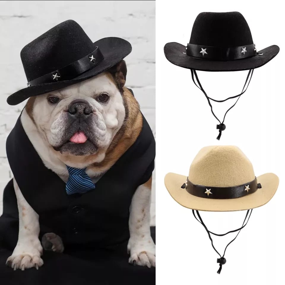 Perro Ranchero Gorro Sombrero Ranchero Mascotas Disfraz Perros Y Gatos - Cs
