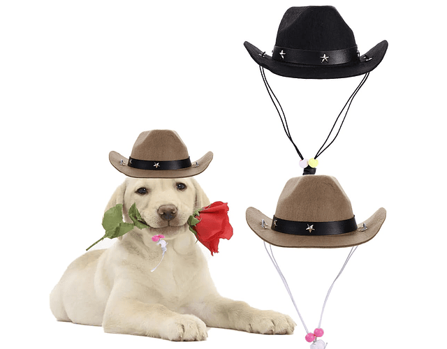 Gorro Sombrero Ranchero Mascotas Disfraz Perros Y Gatos - Cs