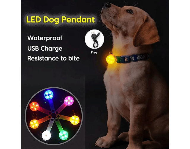 Collar Pendiente Antiperdida Luz Led Carga Usb Perros Gatos