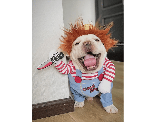 Disfraz Para Perros Y Gatos Diseño Chucky Halloween Mascotas