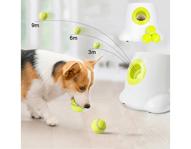  PetSafe Automatic Ball Launcher, lanzador de pelota de tenis  para perros : Productos para Animales