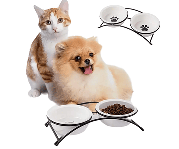 Plato Bowl Cuenco Doble En Altura Platos Loza Para Mascotas