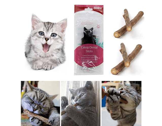 Snack Dental Ramas Stick Catnip Bioline Para Mascotas Gatos