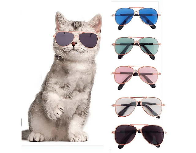 Gafas Lentes Redondos Para Perros Gatos Gafas De Mascotas