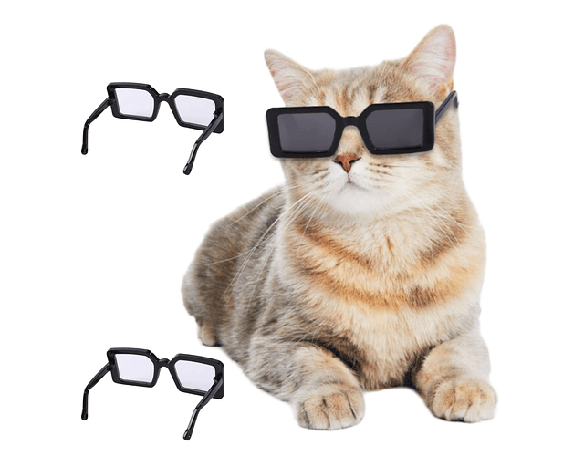 Gafas Lentes Del Sol Para Perros Gatos Gafas De Mascotas Cs
