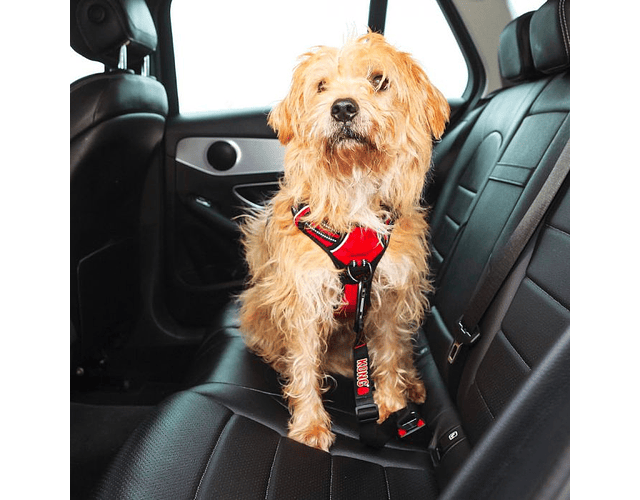 Cinturón De Seguridad Kong Seat Belt Mascotas Perro Auto