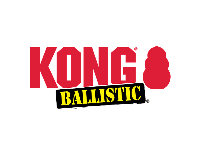 Juguete Kong Ballistic Boomerang Mascotas Talla L