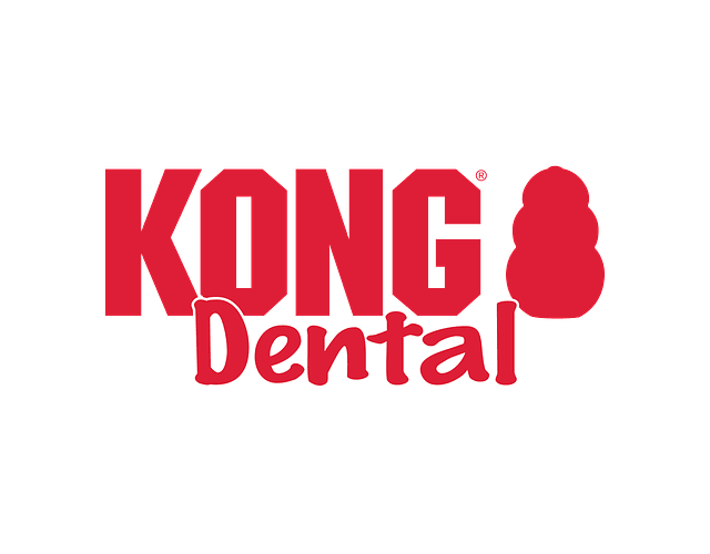 Kong Juguete Dental With Rope Para Mascotas Talla S