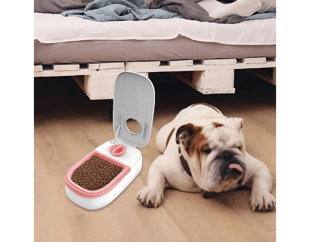 Dispensador Automático Comedero Alimentos Plato Gatos Perros