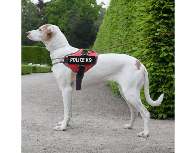 Arnés Police K9 Reforzado Para Perros Grandes L - Xl - Xxl