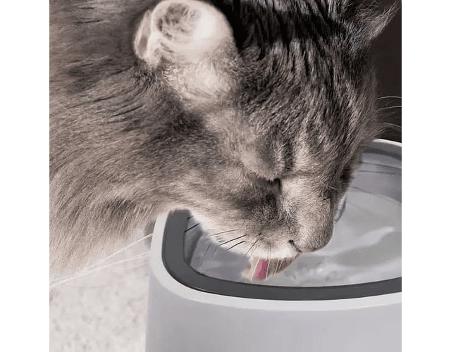 Bebedero Tazon De Agua Antiderrame Para Mascotas Perro Gatos