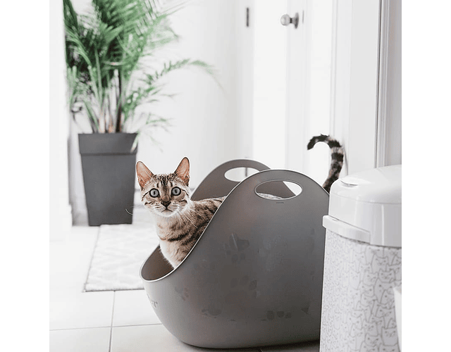 Litter Box Bandeja Sanitaria Gris Con Pala Para Gatos