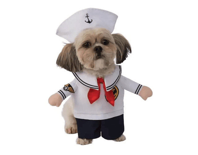 Disfraz Para Perros Y Gatos Diseño Marino Halloween Mascotas