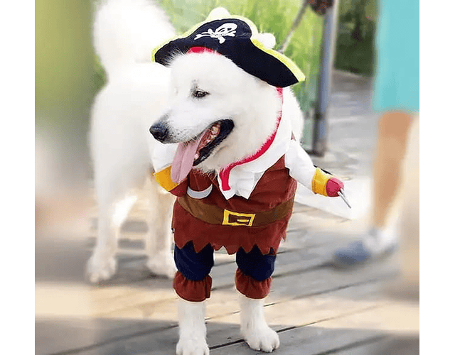 Disfraz Para Perro Y Gatos Diseño Pirata Halloween Mascotas