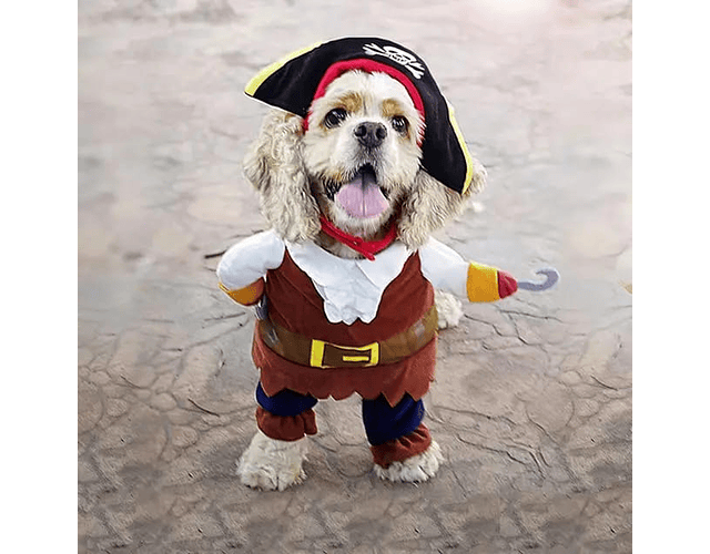 Disfraz Para Perro Y Gatos Diseño Pirata Halloween Mascotas