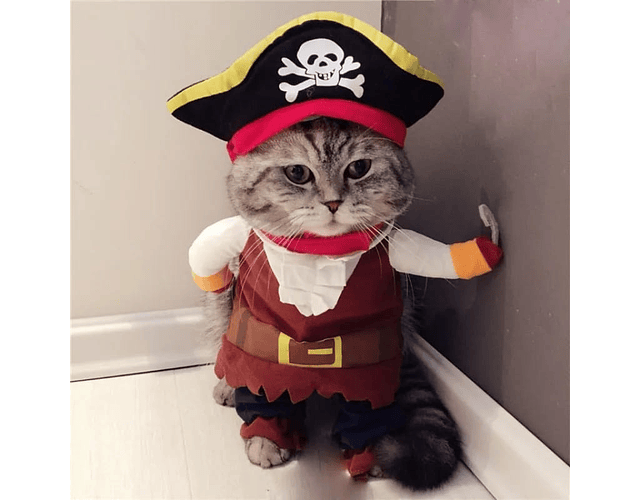 Disfraz Para Perro Y Gatos Diseño Pirata Halloween Mascotas