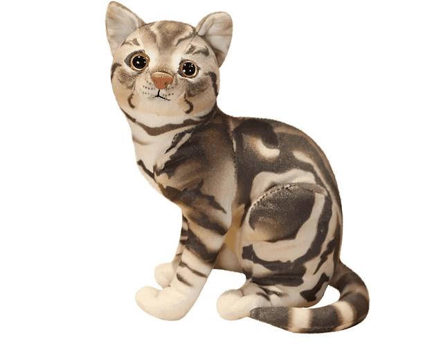Gato De Peluche Americano Modelo Para Fotos Mascotas Gatos