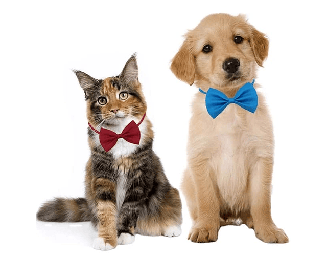 Corbatín Moño Humita Para Mascotas Ajustable Perros Y Gatos