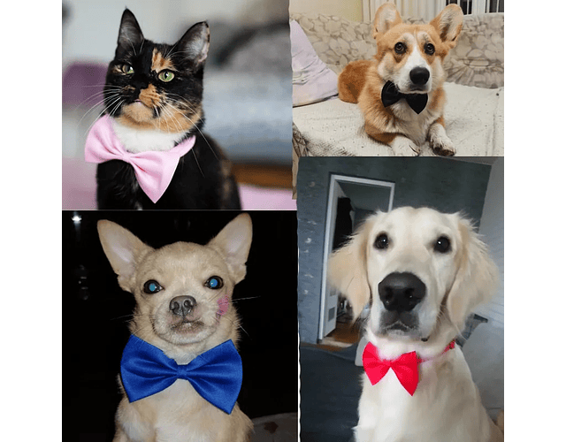 Corbatín Moño Humita Para Mascotas Ajustable Perros Y Gatos