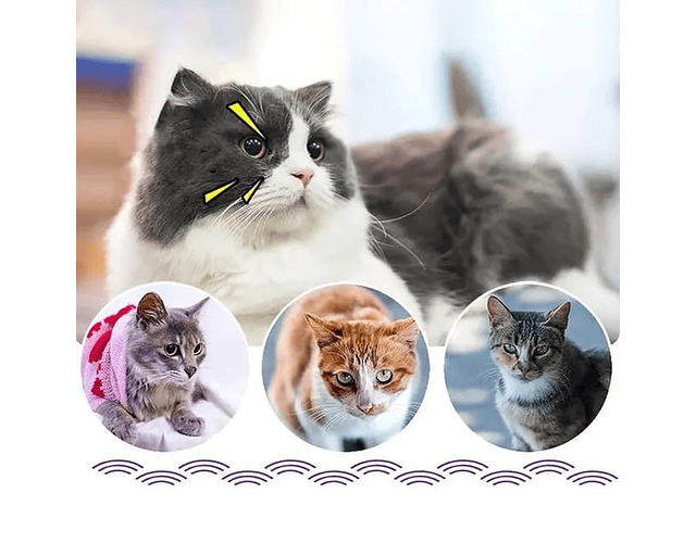 Perlas Desodorante Perla Para Baño Sanitario Arena De Gatos