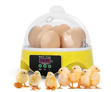 Incubadora Led Para 7 Huevos Incubadoras Control Temperatura