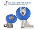 Collar Isabelino Inflable Protector Perros Y Gatos Talla M