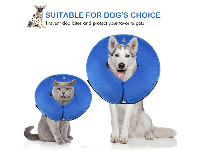 Collar Isabelino Inflable Protector Perros Y Gatos Talla L