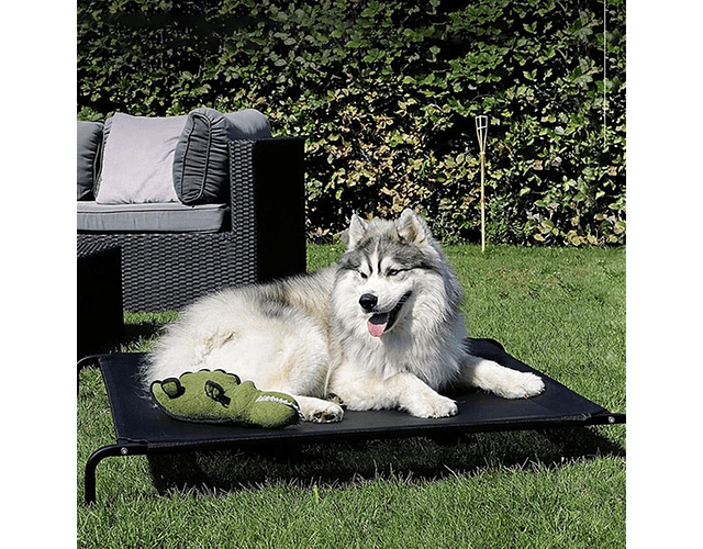 Cama En Altura Refrescante Para Mascotas Perro, Gato Talla M