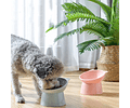 Cuenco Bowl Plato Inclinado Mascota Elevado Para Gatos Perro