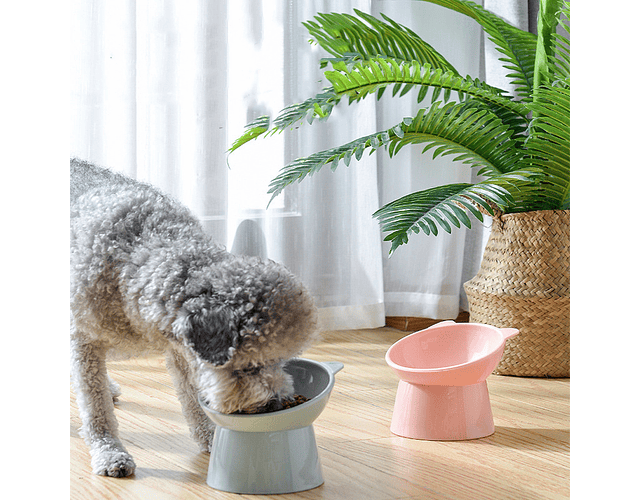 Cuenco Bowl Plato Inclinado Mascota Elevado Para Gatos Perro