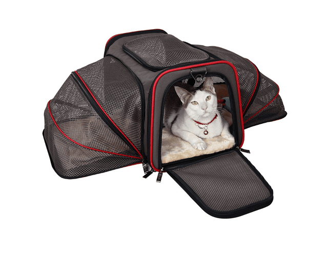 Bolso Transportador 3 En 1 Viaje Mascotas Perro Gato Talla S