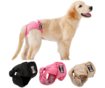 Calzones Para Perritas Calzon De Celo Pipi Mascotas Talla XS