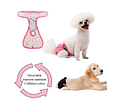 Calzones Para Perritas Calzon De Celo Pipi Mascotas Talla XS