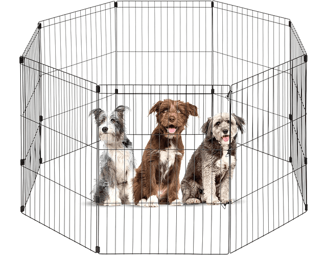 Jaula metálica reforzada para perros  Jaulas para perros, Corral para  perros, Accesorios para perros