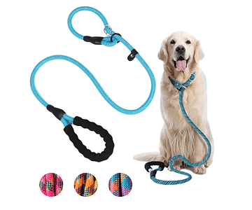 Correa Y Collar Entrenamiento Slip On Leash Perros 180 Cm