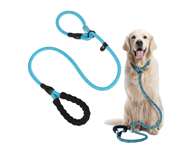 Slip On Leash Perros Correa Y Collar Entrenamiento 150 Cm