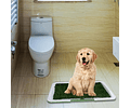 Baño Ecologico Perro Baño Sanitario Perro Baño Para Perros