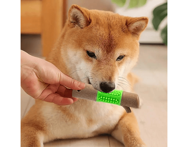 Juguete Duro Para Perros Bambu Molar Encias Limpieza Dental