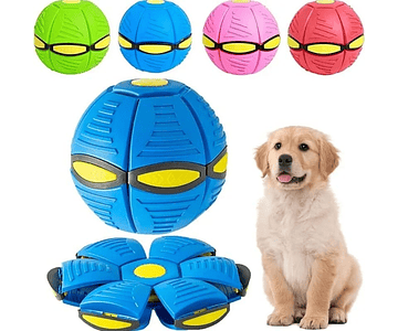 Juguete De Pelota Y Frisbee 2 En 1 Colores Familia Mascotas