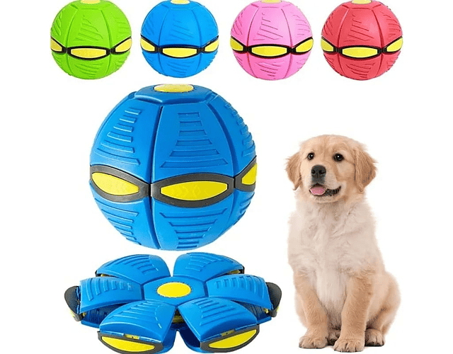 Juguete De Pelota Y Frisbee 2 En 1 Colores Familia Mascotas