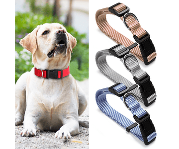 Collar Para Perro Collares Perros Razas Medianas Y Grandes